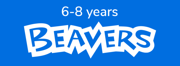 beaver_logo_block
