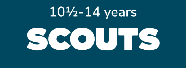 scout_logo_block